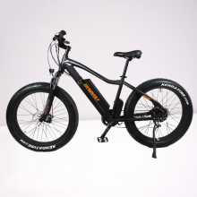 China manufacturer customized 12.8Ah electric mountain bike 36V/48V 250W/350W/500W electric bike